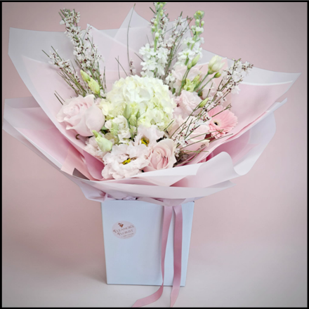 Blush Pink Dreamz