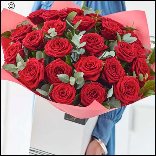 24 Sumptuous Red Roses