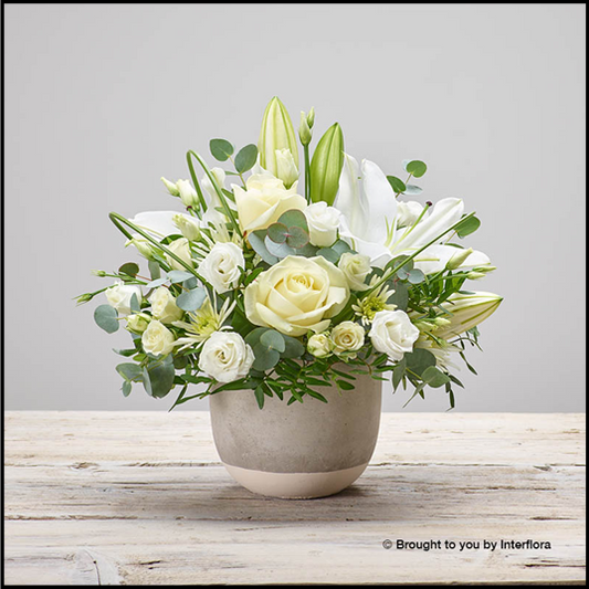 Elegant Sympathy Arrangement (petite size)