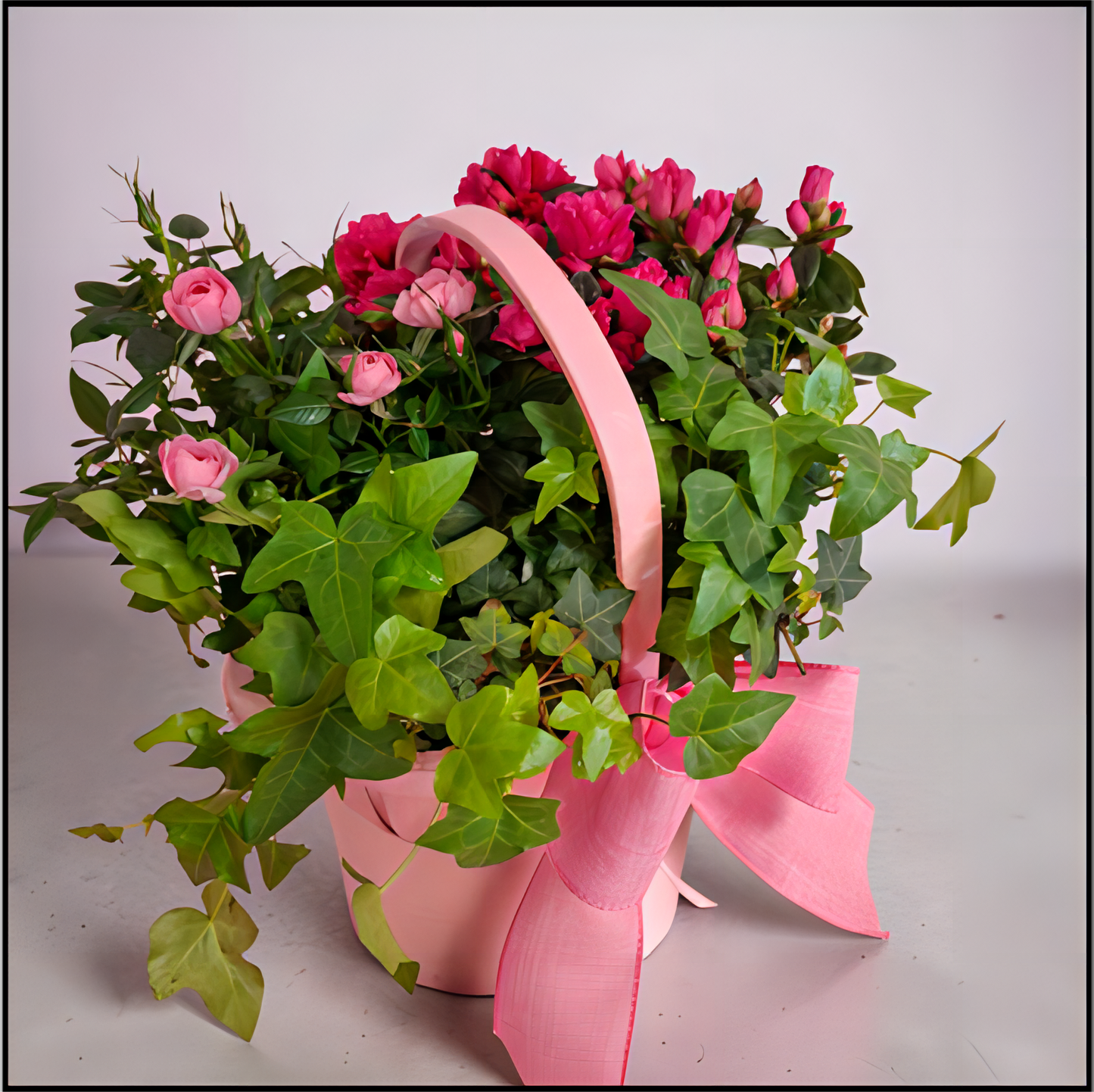 Rose and Azalea Planted Basket
